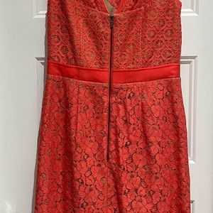 BCBG Lace dress